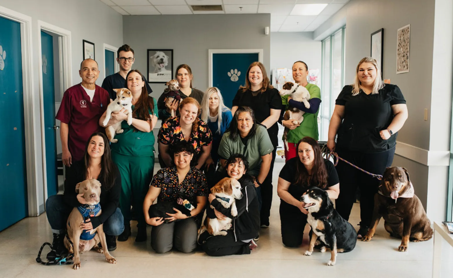 Group photo of the staff at Renton Highlands Pet Clinic